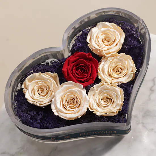 Preserved Royal Rose Heart Vase