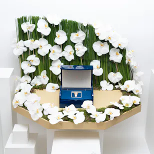 El Daham Frank Rosha Diamond Watch | Orchid Garden