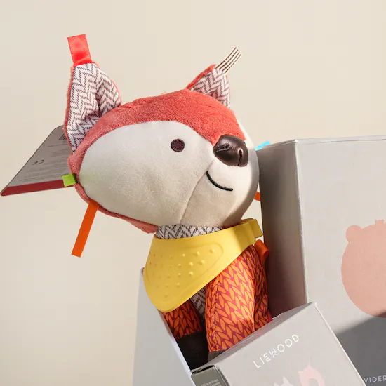 Peek A Boo Tiny Adventures Gift Basket