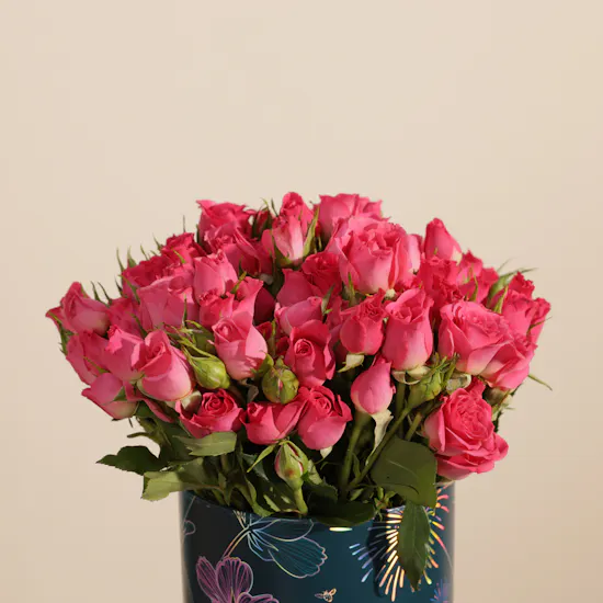 Fuchsia Muse Baby Rose Box | 25 Flowers