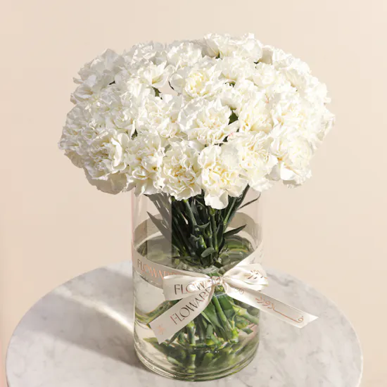 Magical White Carnation Vase