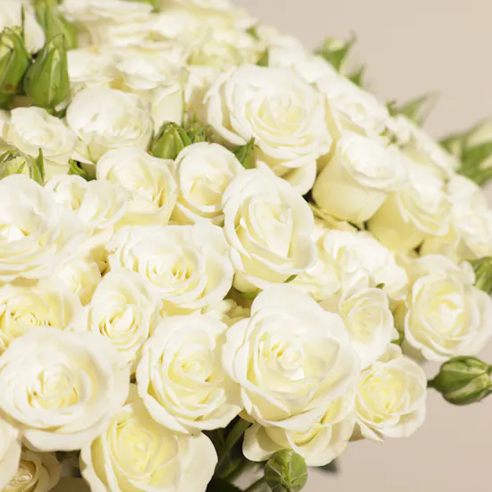 Angelic White Baby Rose Vase
