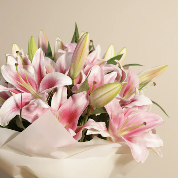 Blushing Pink Lily Bouquet | 18 Flowers