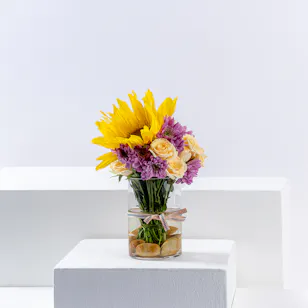 Sunflower Splendor