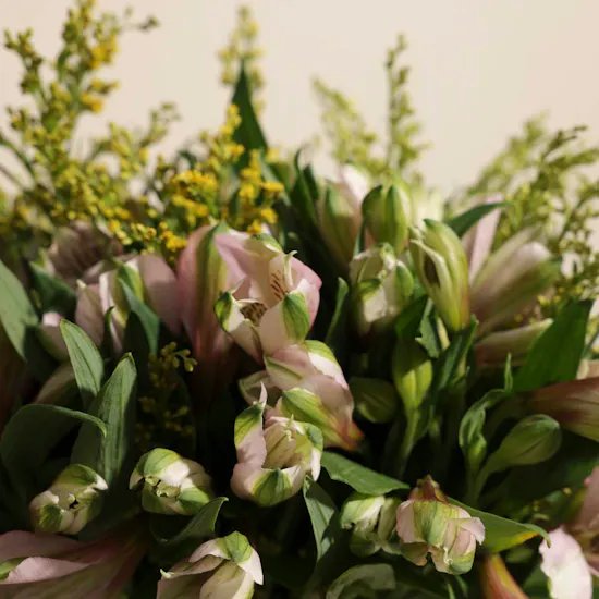Floward Chocolates Mix Flavors | Alstroemeria Vase