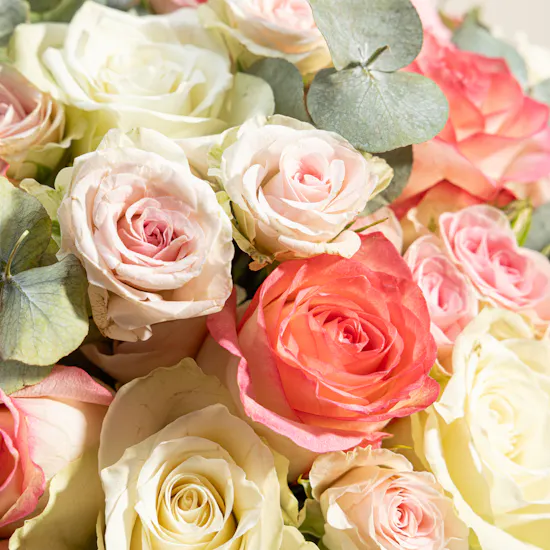 Blushing Petals Roses Box