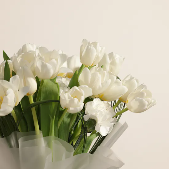 Lovely White Tulips