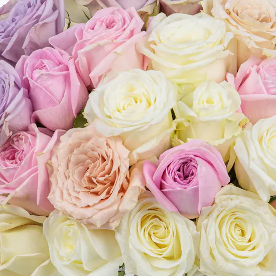 Marc Jacobs Daisy Perfume For Her | Pastel Treat Bouquet