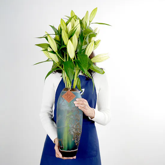 White Lilies | Blue Vase