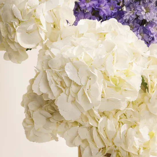 The Lavender Sonata Flower Vase