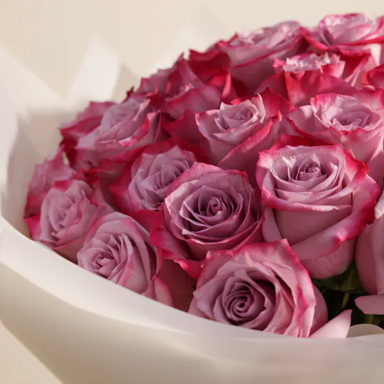 Aromatic Purple Roses Bouquet | 50 Roses