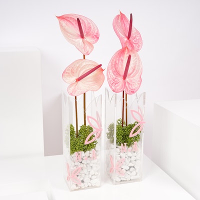 Pink Anthurium | Personalized Vases