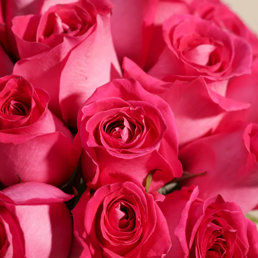 Fuchsia Elegance Vase | 35 Roses 3