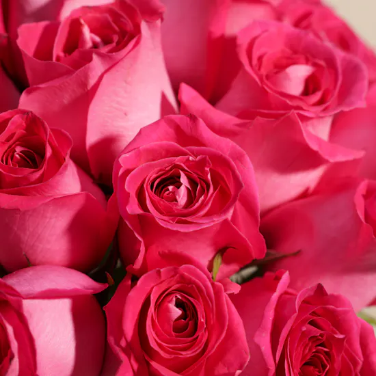 Fuchsia Elegance Vase | 35 Roses
