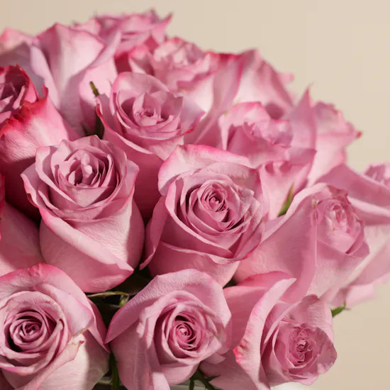 Magical Purple Roses Vase | 35 Flowers