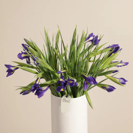 Blue Iris Petal Whisper Vase
