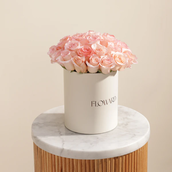 Inspired Light Pink Roses Box | 25 Flowers