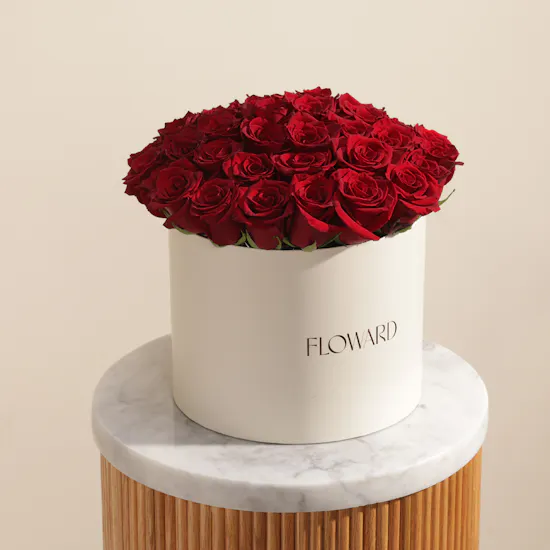 Romance Red Roses Box | 55 Flowers