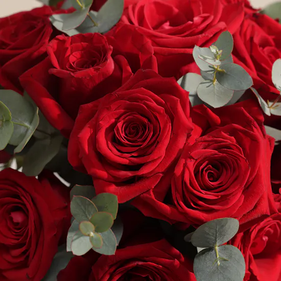 Wondergifts Happy Valentine's Gift Experience Box | Real Love Flowers
