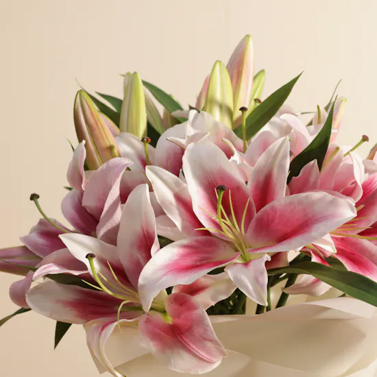 Graceful Pink Lily Bouquet | 12 Flowers