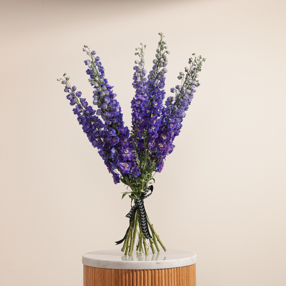 باقة الدلفينيوم الأزرق