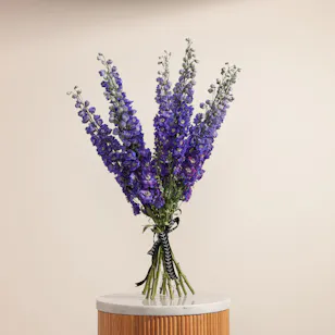 Blue Delphinium Flower Bouquet