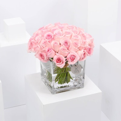 Pink Roses | Square Vase