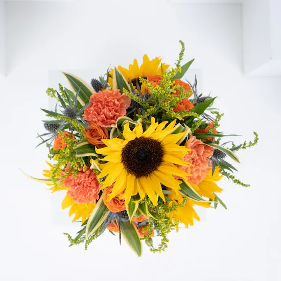 Sun Flower Rose