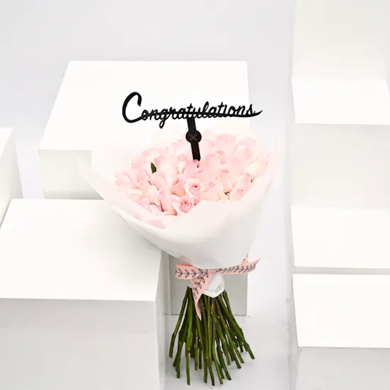 pink roses graduation collection