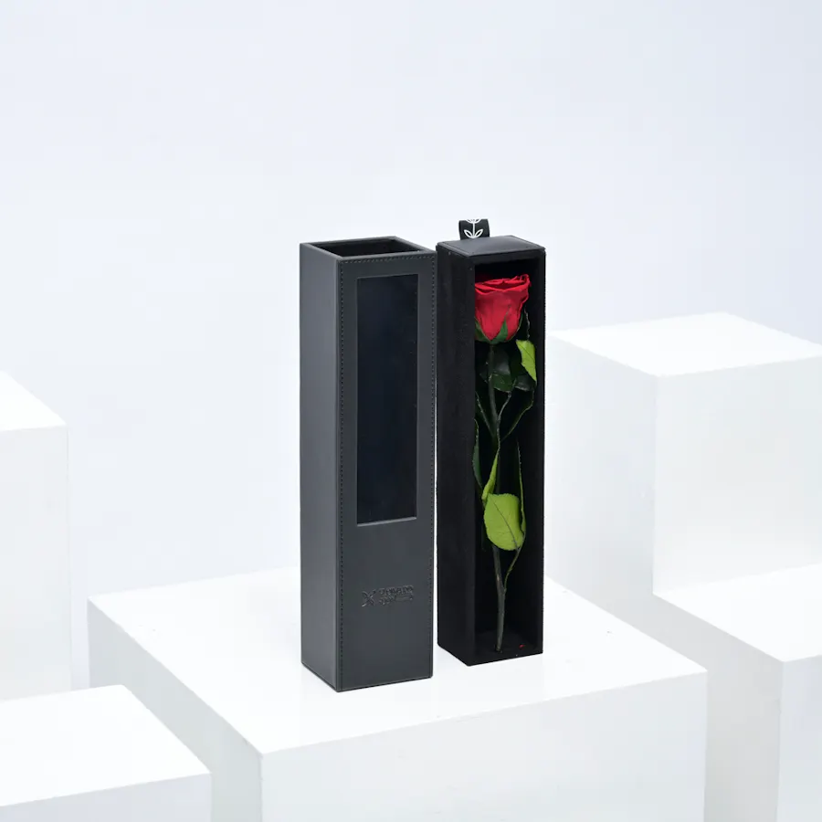 Preserved Red Rose | Black Box 2