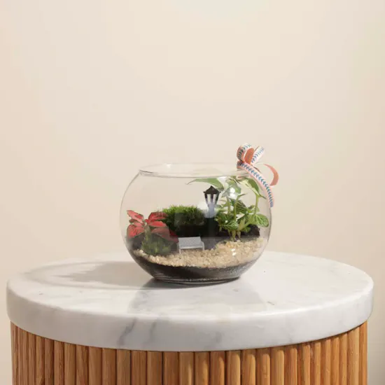 Nature's Harmony Terrarium