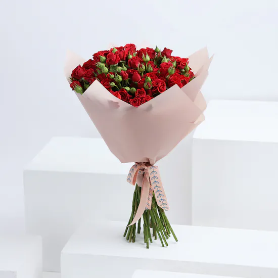 30 Red Baby Roses |Pink Wrap