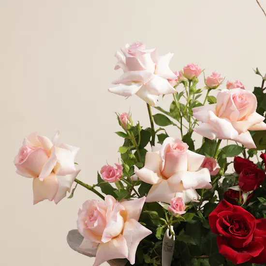 Enchanted Roses Vase