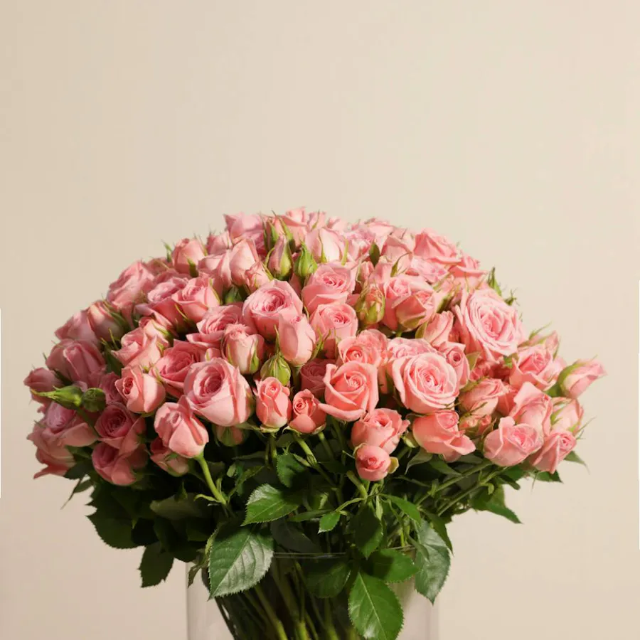 Pink Baby Roses Vase | 50 Flowers 4