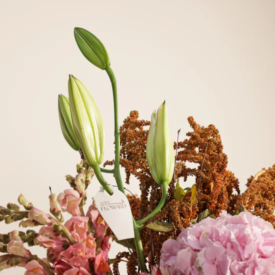 Flamingo Fiesta Flower Vase by September Studio
