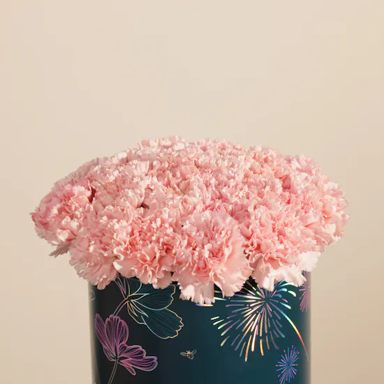 Gentle Pink Carnation Box | 35 Flowers