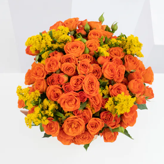 Orange Baby Roses | Ceramic Vase