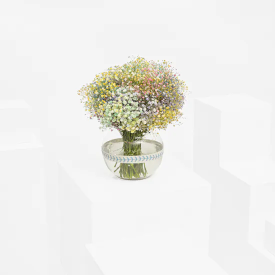 Calming Gypsophila | Vase