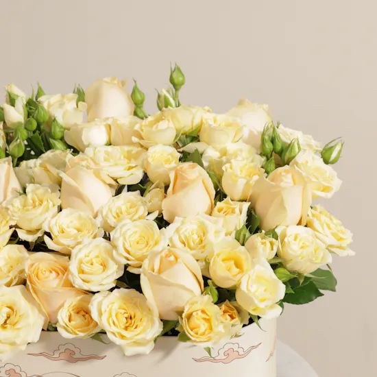 The Tender Heart Peach Roses Box