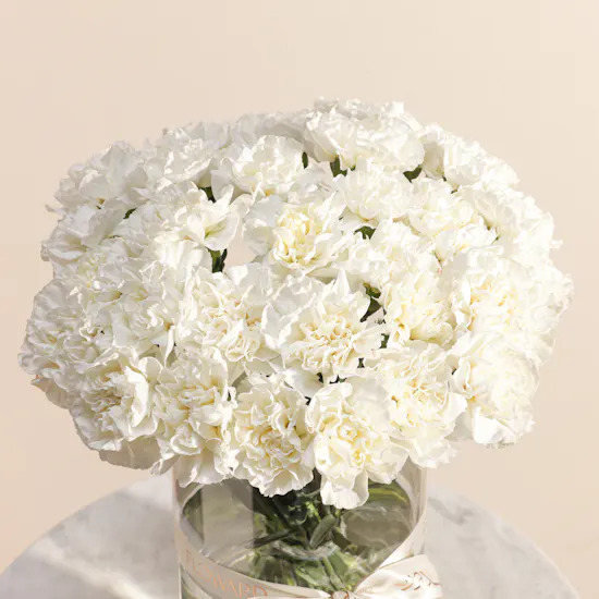 Magical White Carnation Vase
