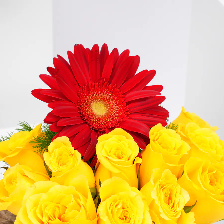 Gerbera | Plush Teddy Bear 3