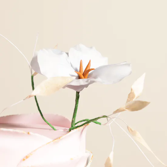 Cake Boutique Creative Cake
