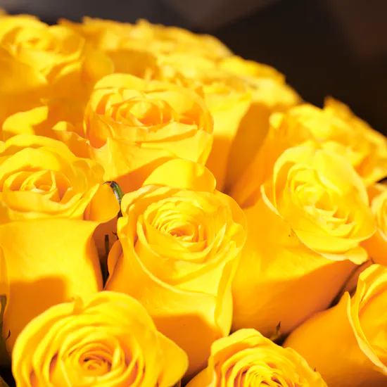 Yellow Roses Bouquet | 35 Flowers