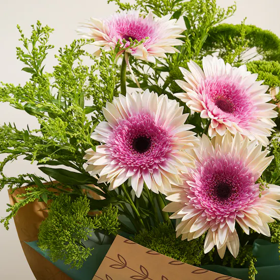 Blush Glow Flower Bouquet