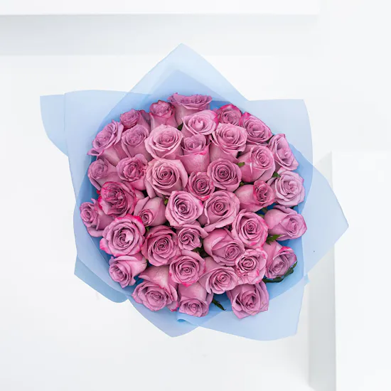 35 Purple Roses | Happy Birthday