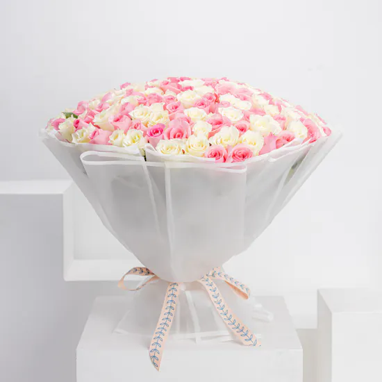 150 White and Revival Rose