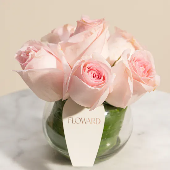 The Light Pink Rose Vase