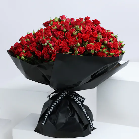 100 Red Baby Rose | Black Wrap