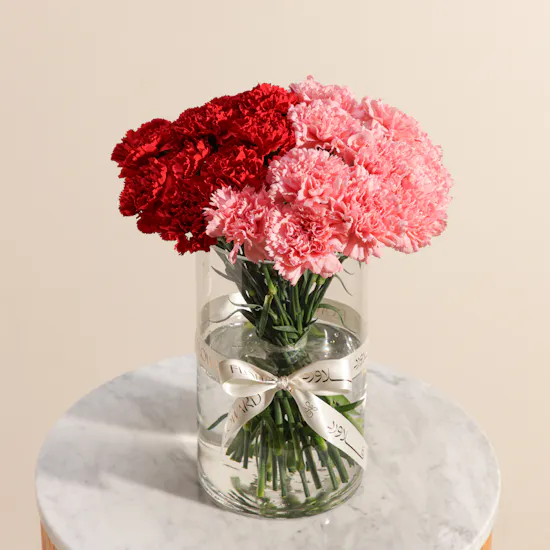 Radiance Carnations Vase