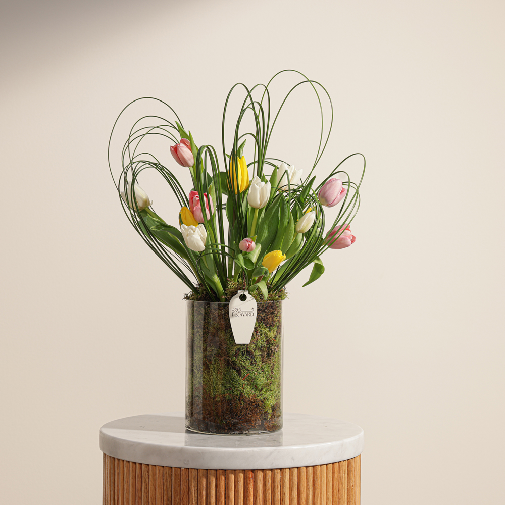 بهجة التوليب